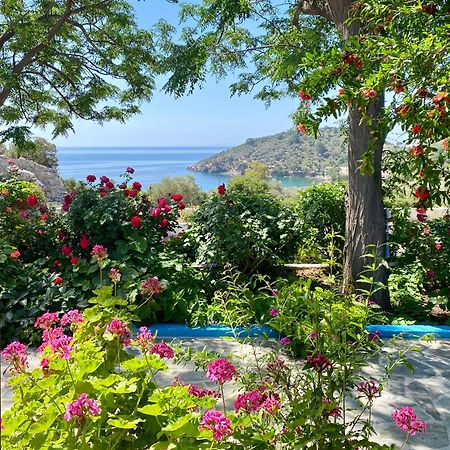 Studios Ioanna Limnionas Samos Marathókampos Exterior foto
