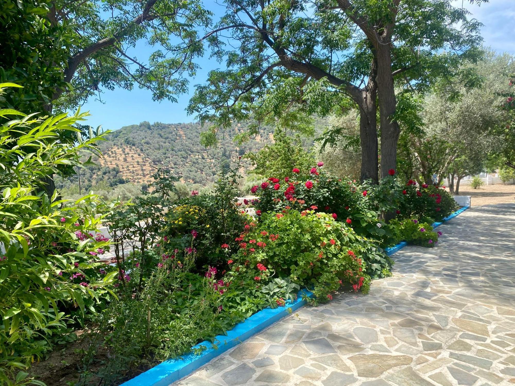 Studios Ioanna Limnionas Samos Marathókampos Exterior foto